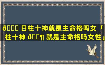 🐘 日柱十神就是主命格吗女「日柱十神 🐶 就是主命格吗女性」